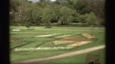 Holland Michigan (1969): Two People Walk In Park With Pink Flowers On A Clear Day
