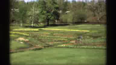 HOLLAND MICHIGAN-1969: Two Man Walking In Distance Big Grass Field Grass And A Windmill