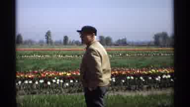 Holland Michigan (1969): A Flower With Huge Area Was Make To See The Green Trees