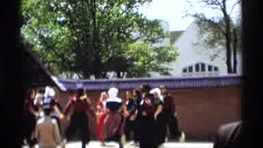 Holland Michigan (1969): Groups Of People Dancing In Circles And Lines On A Sunny