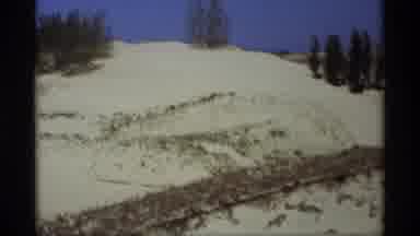 Holland Michigan (1969): Snow Blankets Hills Dotted With Trees And A Field Running