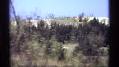 Holland Michigan (1969): Video Recording Of Tree Landscape From A Vehicle Panning
