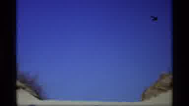 Holland Michigan (1969): Road Sand Hills Forest Plants Heading Toward Horizon