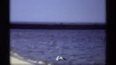 Holland Michigan (1969): A Huge Bridge Was Very Great To See The River Side And