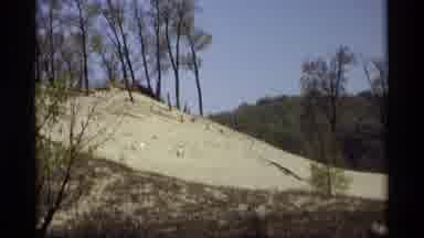 Holland Michigan (1969): A Shot Of A Sandy Hill With A Treeline Below Cuts To A