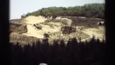 Holland Michigan (1969): The Brown And Blackened Hill Within A Forest Is