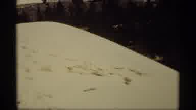 Holland Michigan (1969): Outdoor Recording Showing A Snowy Hill And Many Trees In