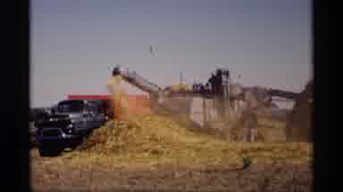 Jordan Minnesota (1969): Hay Being Shredded In Industrial Machine And Man Using