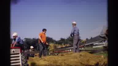 Mabel Minnesota (1969): Two Men Tossing Hay With Pitchforks On A Farm On A Sunny