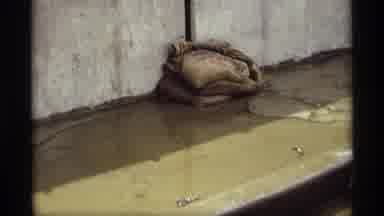Saint Paul Minnesota (1969): Water Leaks Through Concrete Barrier Wall Pasts