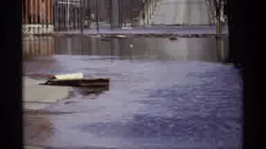 Saint Paul Minnesota (1969): A Tree That Is Flooded And Cars Parked On The Side Of