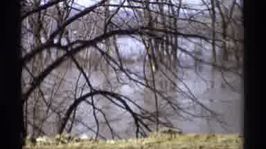 Savage Minnesota (1969): Desolate Woods On Winter Day Bridge To Fog And Darkness