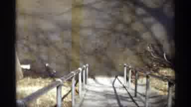 Savage Minnesota (1969): Vintage Video Of Trees And Pond And A Small Pathway