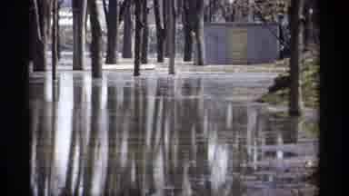 Savage Minnesota (1969): Water Rises Into Woods And Floods A Nearby Barn