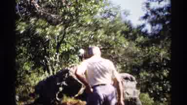 Wisconsin (1969): Old Man Hill Walking Slowly Upwards Trees Green Day Leaves