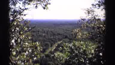 Wisconsin (1969): View Of Road Winding Through The Trees
