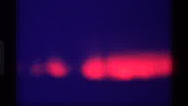 Wisconsin (1969): Video Of Trees Being Illuminated By Red Light At Night