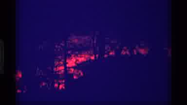 Wisconsin (1969): Footage Within A Wooded Are During A Sunrise Or Sunset