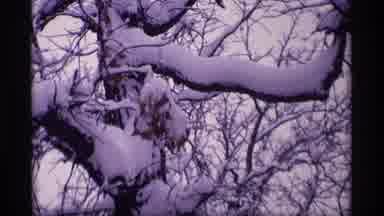 Wisconsin (1969): A Nice Looking Snow Place With Huge Snowfall Was Looking Great