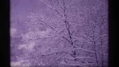 Wisconsin (1969): Received A Few Inches Of Fresh Snow Blanketing Everything And