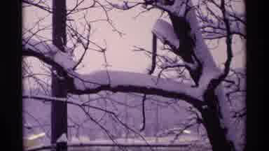 Wisconsin (1969): A Winter Day Somewhere In A Park Or Close To House