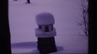 Wisconsin (1969): Winter Time With Lots Of Snow And Tree Cover All Over With Snow