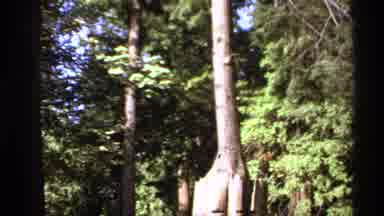 Canada (1974): Sign Reads Conservatory Entrance Views Of Trees And Blue Sky On