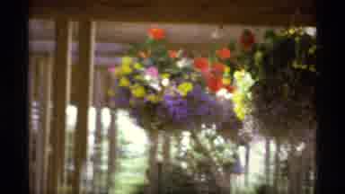 Canada (1974): Colorful Flowers Compete With Spare Trees For Best Scene With