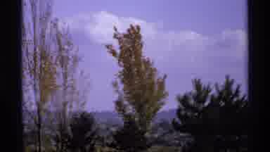 Canada (1974): A Green Park O Lot Of Green Trees And The Beautiful Nature And