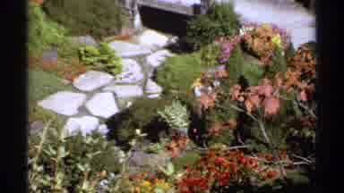 Canada (1974): The Amazing Video Winch Is Showing Nothing Because This Task Are
