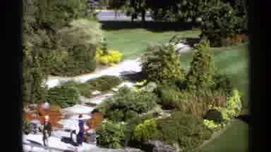 Canada (1974): A Green Park O Lot Of Green Trees And The Beautiful Nature