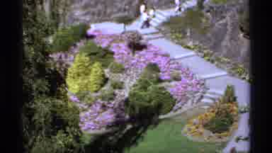 Canada (1974): View Of Purple And Red Flowers In Garden On A Bright Sunny Day