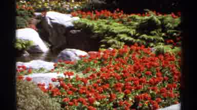 Canada (1974): Calming Park With Rocks Red Flowers And Running Water