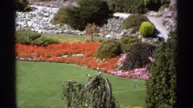 Canada (1974): A Variety Of Flowers Inside The Park With Different Colors And Very