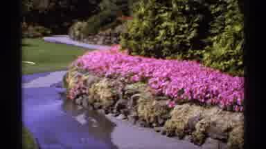 Canada (1974): View Of Purple Orange And Yellow Flower Beds On A Sunny Day