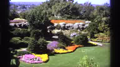 Canada (1974): A Beautiful Garden With Lot Of Different Kind Of Flowers And Colors