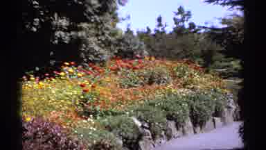 Canada (1974): Different Colored Flowers In A Rose Garden In Beautiful