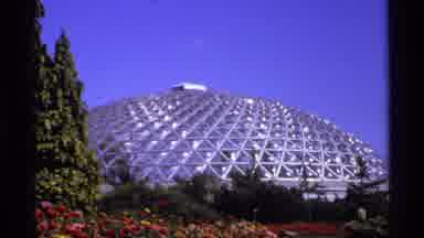 Canada (1974): Vintage Film Of A Bio Dome And A Carpenter Bee Foraging For Nectar