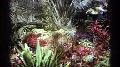 Canada (1974): A Variety Of Flowers Inside The Park With Different Colors And Very