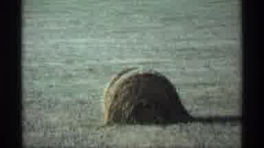 Minnesota-1974: Hay Bale In Field With Farmhouse In Distance