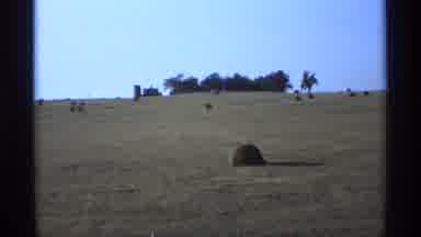 Minnesota-1974: Rolling Fields With Hay Bales And Farmhouse