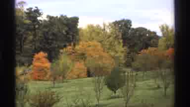 Minnesota (1974): Rolling Hills Dotted With Lush Trees Full Of Fall Leaves