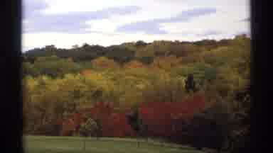 Minnesota (1974): Recording Showing A Hill Full Of Trees Of Different Colors On