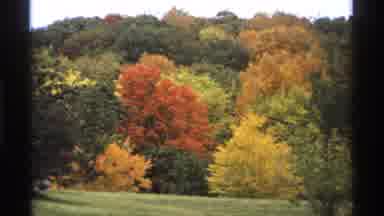 Minnesota (1974): Tree Nature Green Grass Yellow Sky Wood Rd Springfield
