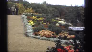 Minnesota (1974): Regional And Beautiful Flower Gathering