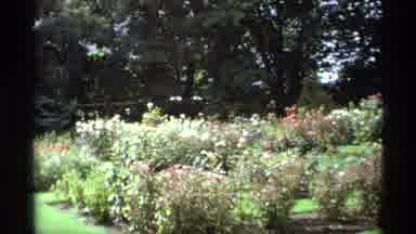 Vancouver Canada (1974): A Green Park Was Very Great To See That It Was Very Nice