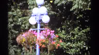 Vancouver Canada (1974): A Wonderful Place To See The Natural And Green Flower Are