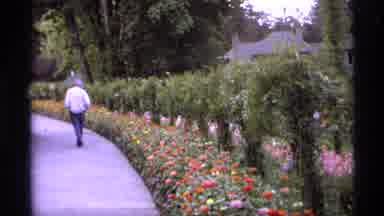 Vancouver Canada (1974): A Fountain And The Water So The Natural Plants Are Great