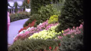 Vancouver Canada (1974): Beautiful Colorful Garden Full Of A Variety Of Flowers