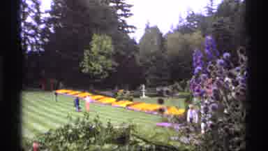 Vancouver Canada (1974): Variety Of Flowers Inside The Park With Different Colors
